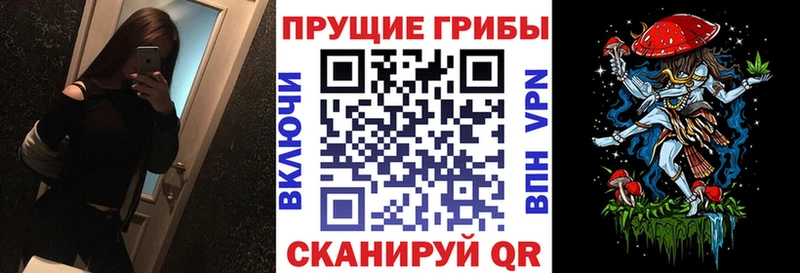 omg ссылки  Котельники  Галлюциногенные грибы MAGIC MUSHROOMS  купить наркотики сайты 