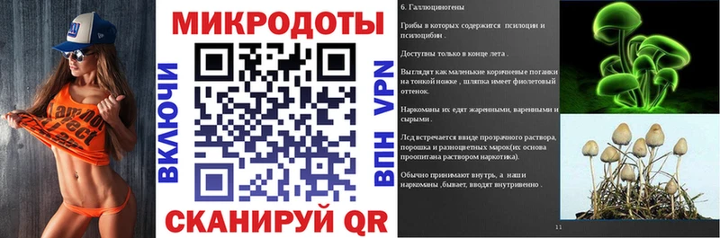 Псилоцибиновые грибы Psilocybe Котельники